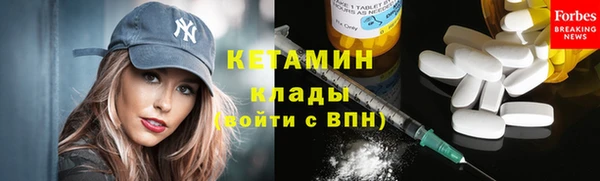 крисы Новодвинск