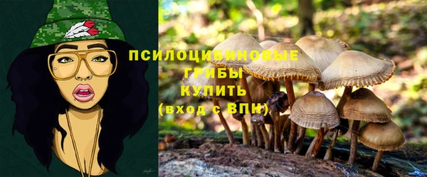 сатива Абаза