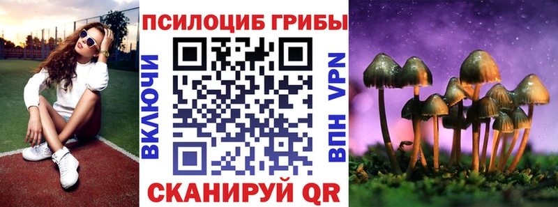 Псилоцибиновые грибы Magic Shrooms  МЕГА как зайти  Яхрома  закладка 